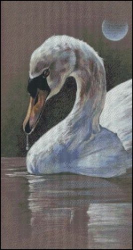 (image for) Swan Lake